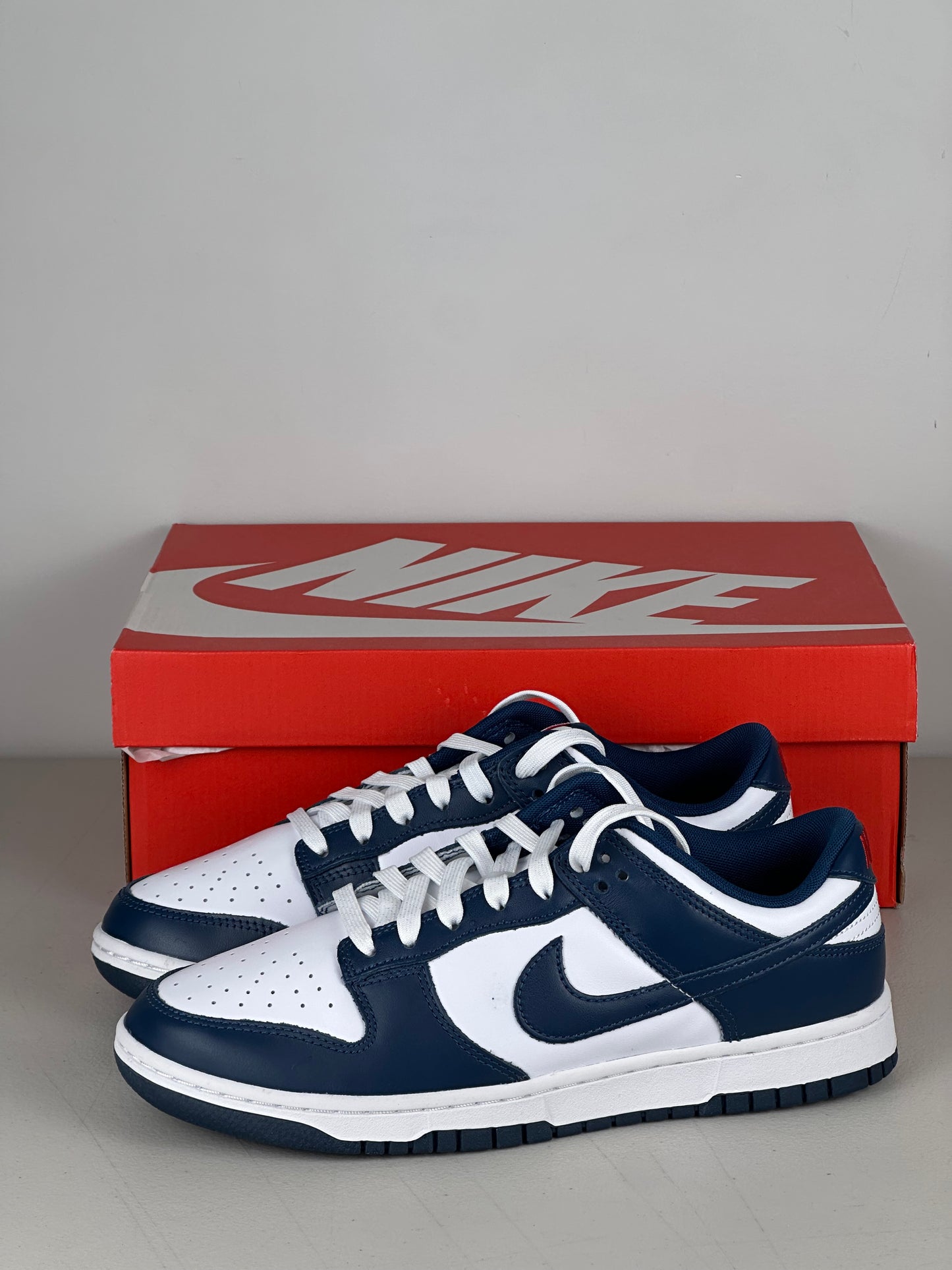 Nike Dunk Low Valerian Blue (Defect)