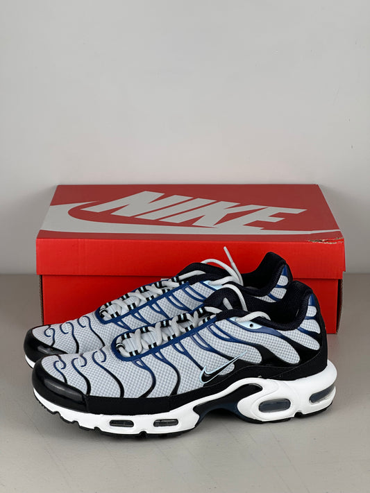Nike Air Max Plus Pure Platinum Court Blue